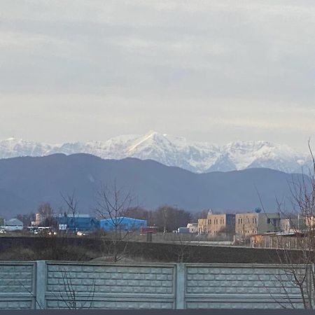 브라쇼브 Casa Florida 빌라 외부 사진